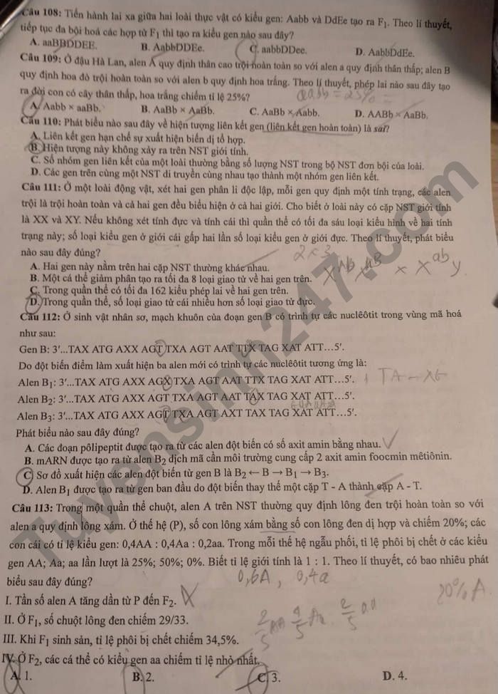 Dap an de thi mon Sinh tot nghiep THPT 2022 ma de 210