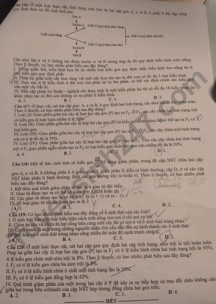 Dap an de thi mon Sinh tot nghiep THPT 2022 ma de 210