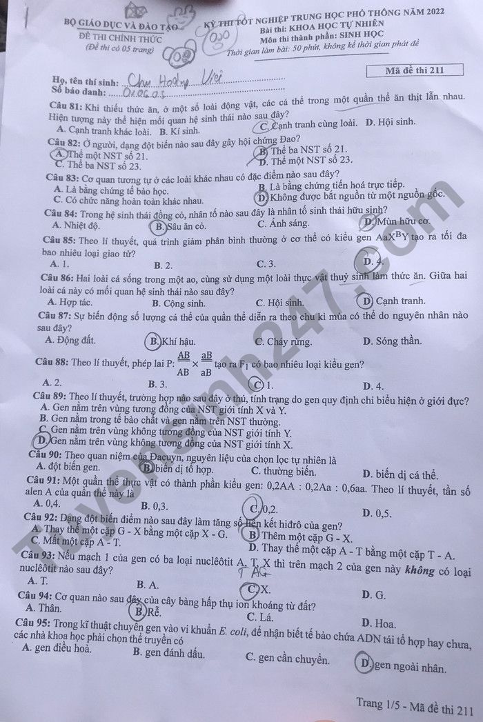 Dap an de thi mon Sinh tot nghiep THPT 2022 ma de 211