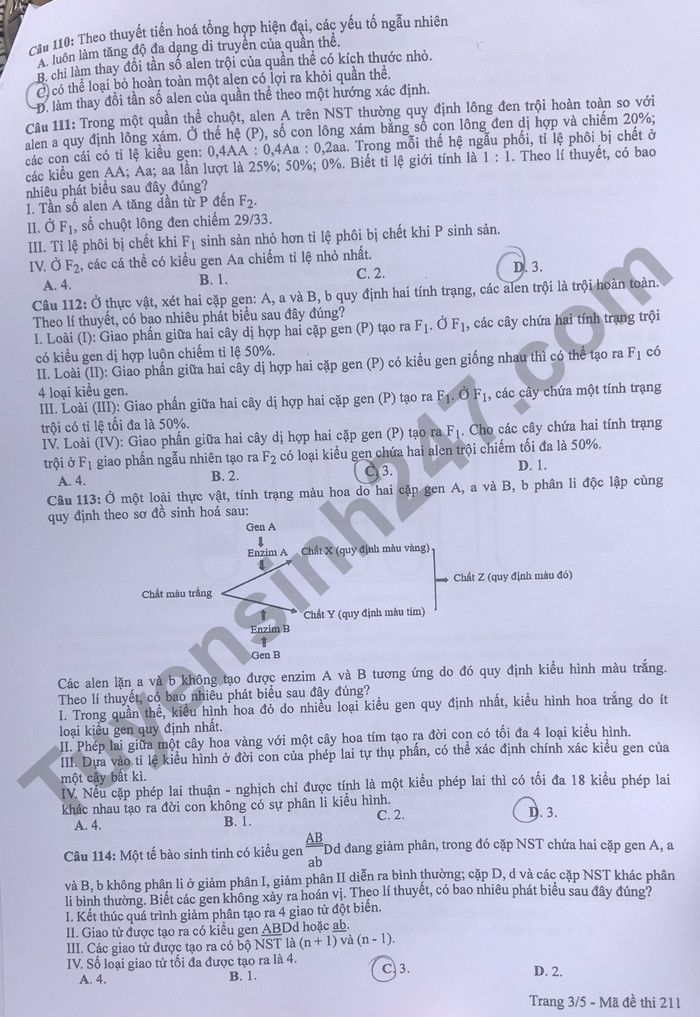 Dap an de thi mon Sinh tot nghiep THPT 2022 ma de 211