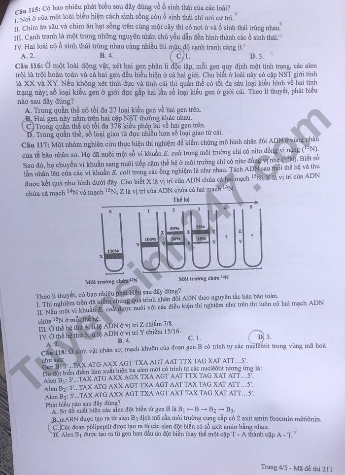 Dap an de thi mon Sinh tot nghiep THPT 2022 ma de 211