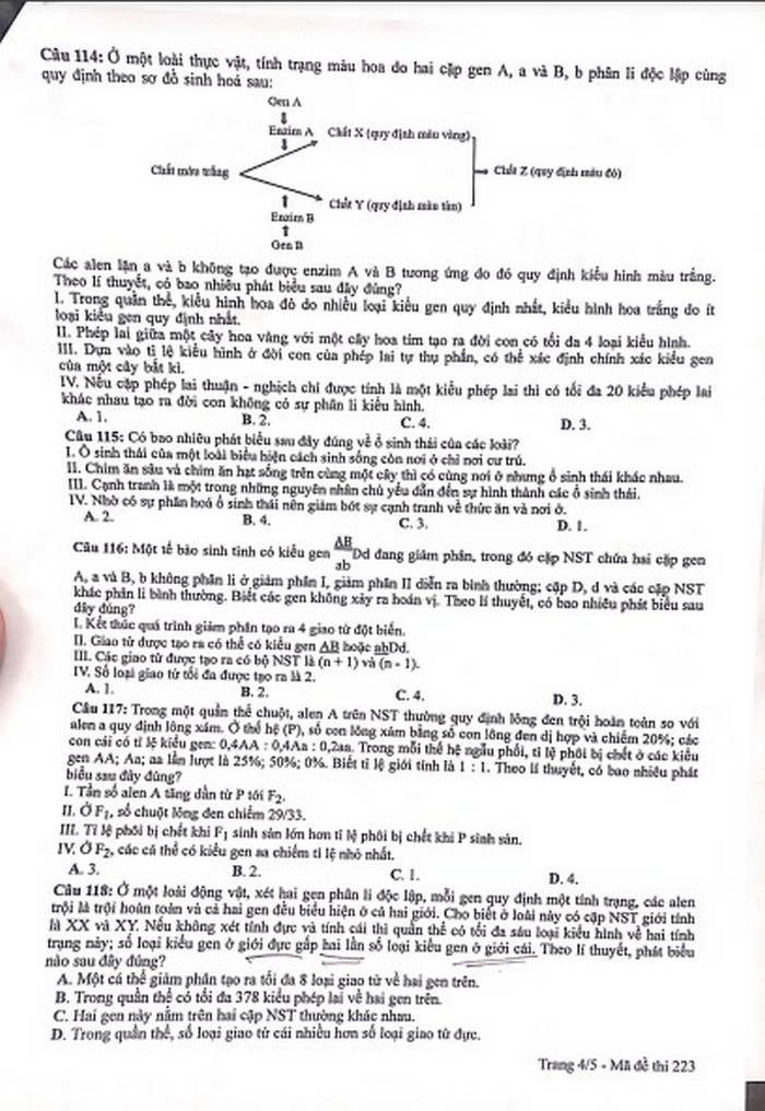 Dap an de thi mon Sinh - Ma de 223 tot nghiep THPT 2022