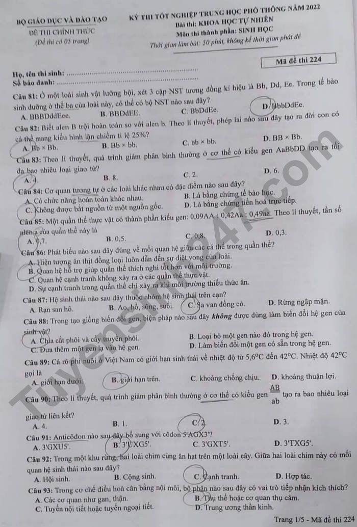 Dap an mon Sinh thi tot nghiep THPT 2022 - ma de 224