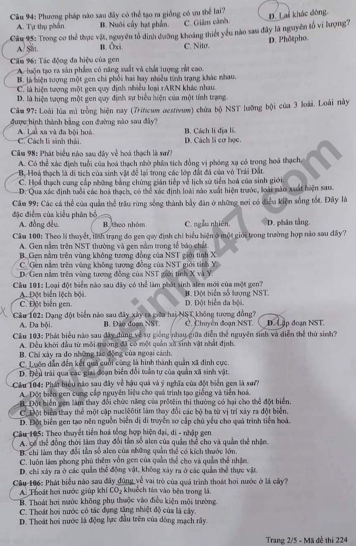 Dap an mon Sinh thi tot nghiep THPT 2022 - ma de 224