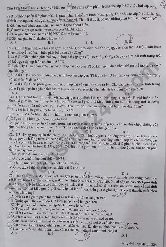 Dap an mon Sinh thi tot nghiep THPT 2022 - ma de 224