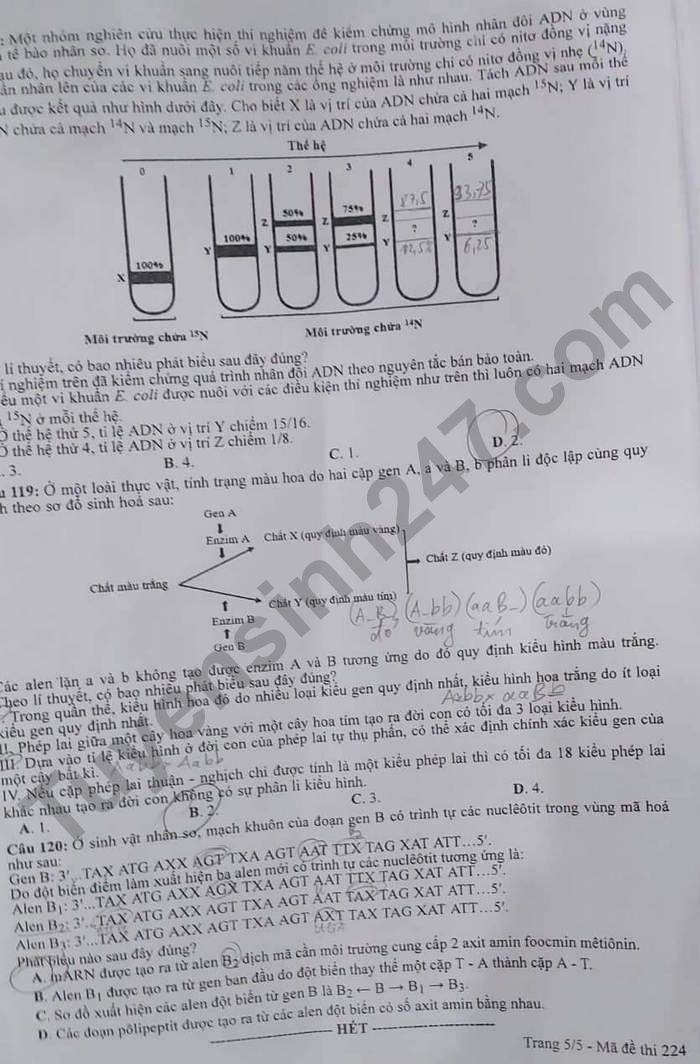 Dap an mon Sinh thi tot nghiep THPT 2022 - ma de 224