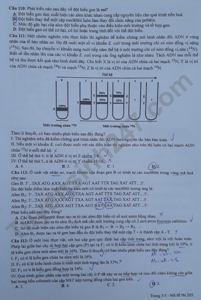 Dap an de thi mon Sinh tot nghiep THPT 2022 ma de 205
