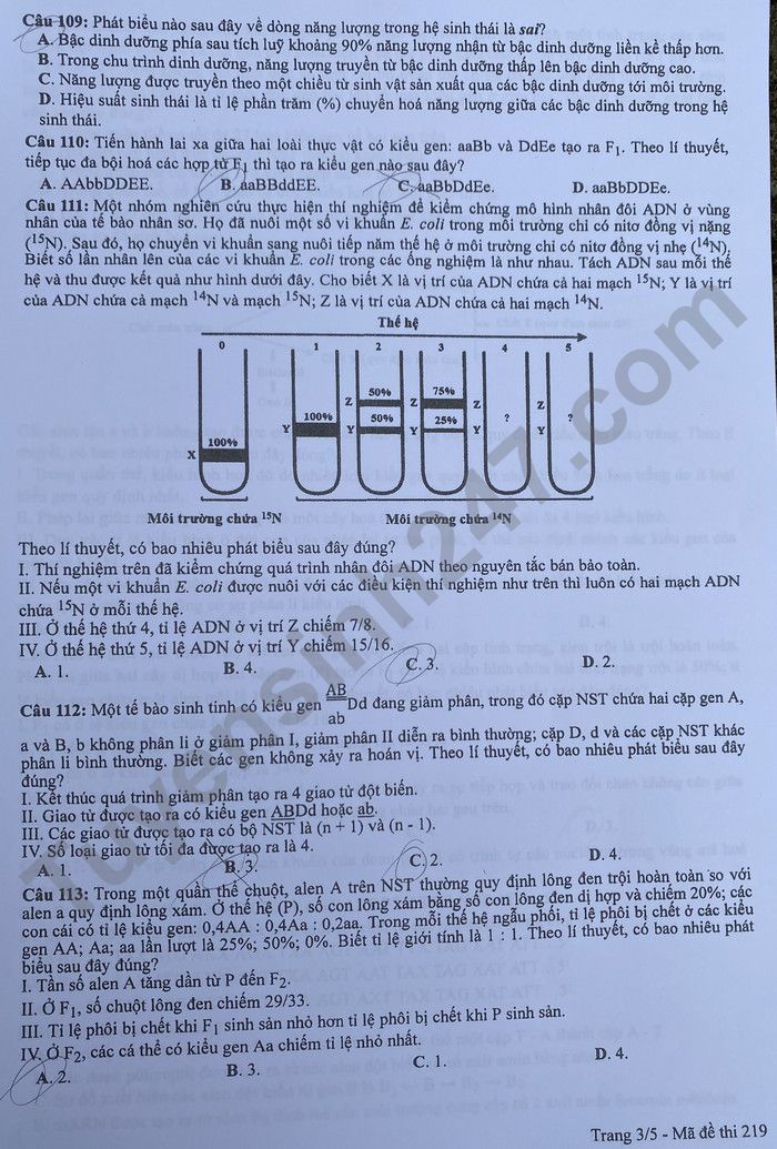 Dap an de thi mon Sinh tot nghiep THPT 2022 - ma de 219