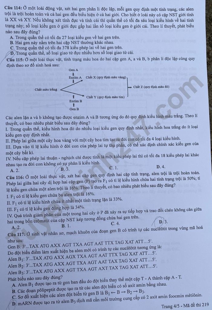 Dap an de thi mon Sinh tot nghiep THPT 2022 - ma de 219
