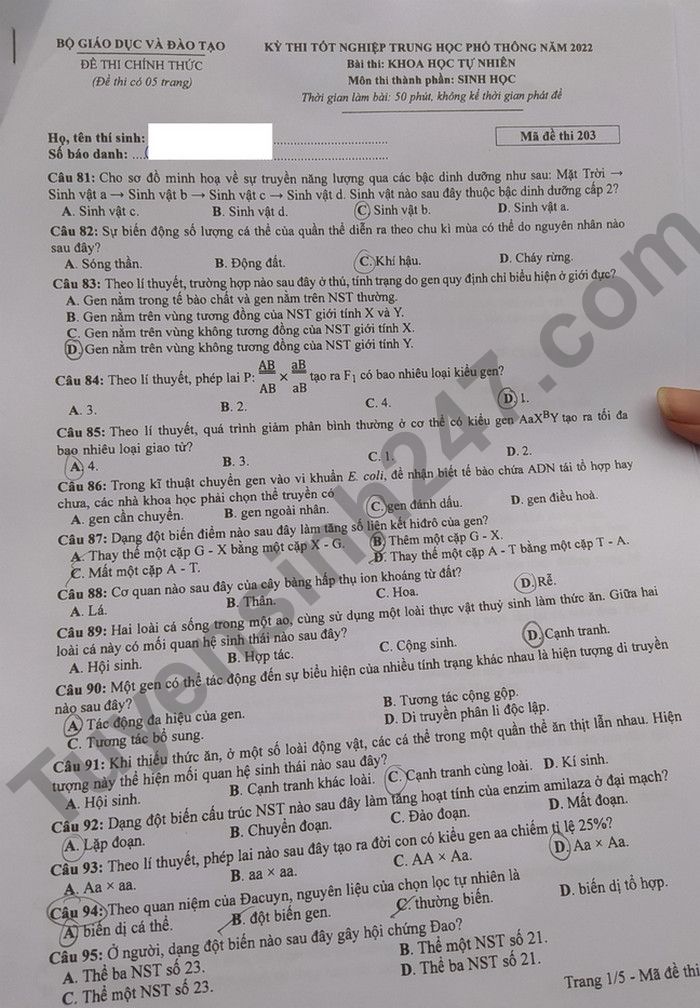 Dap an de thi tot nghiep THPT 2022 - ma de 203 mon Sinh