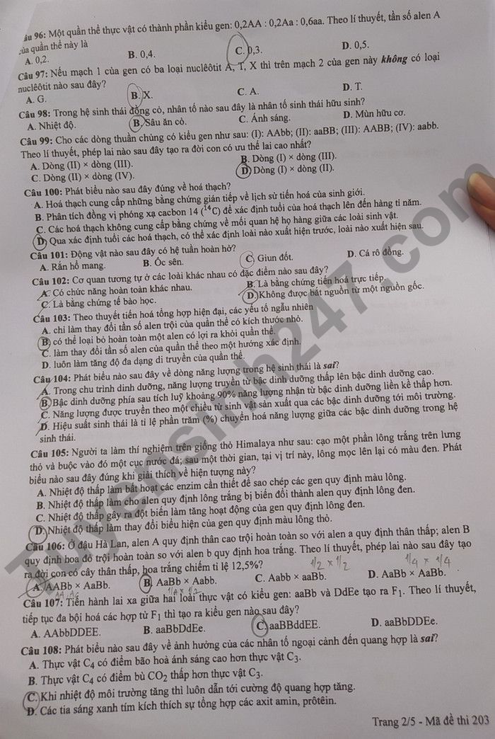 Dap an de thi tot nghiep THPT 2022 - ma de 203 mon Sinh
