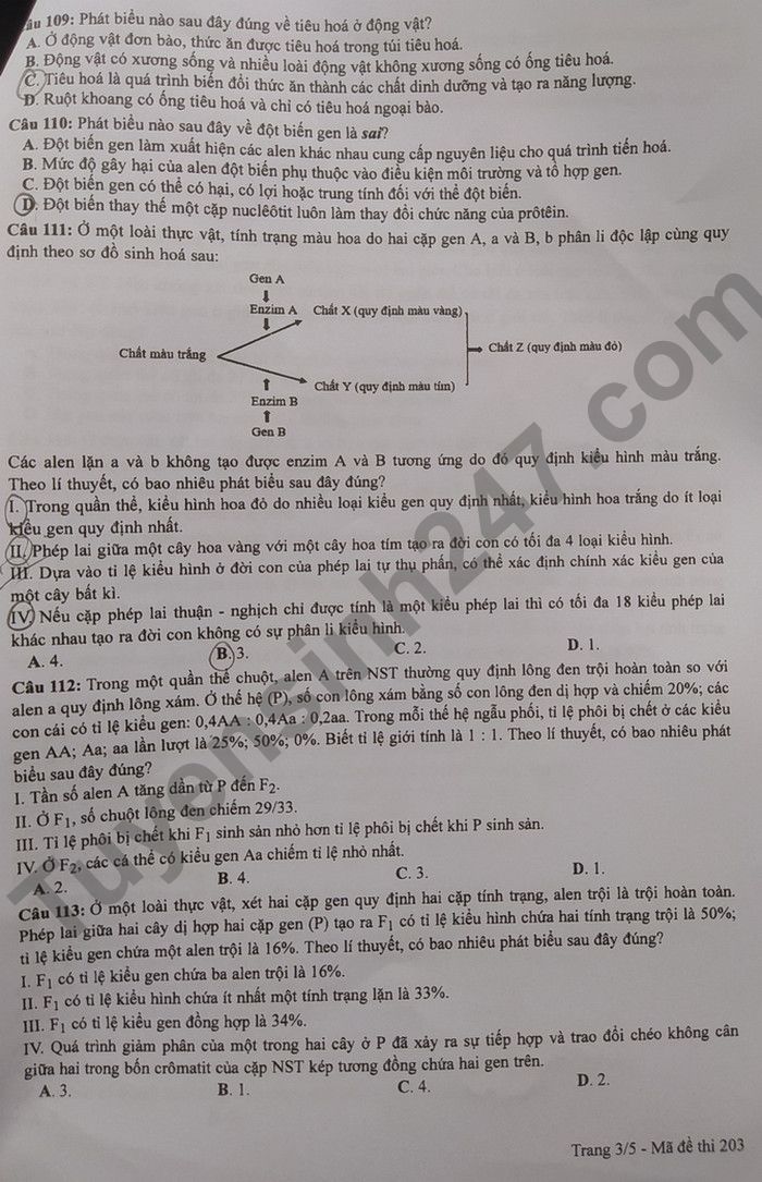 Dap an de thi tot nghiep THPT 2022 - ma de 203 mon Sinh