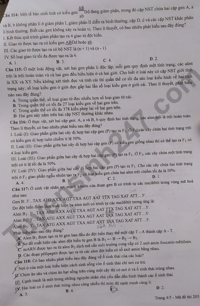 Dap an de thi tot nghiep THPT 2022 - ma de 203 mon Sinh
