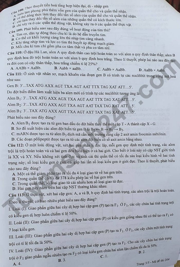 Dap an de thi tot nghiep THPT 2022 - ma de 204 mon Sinh