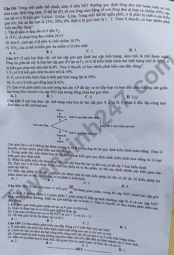 Dap an de thi tot nghiep THPT 2022 - ma de 204 mon Sinh