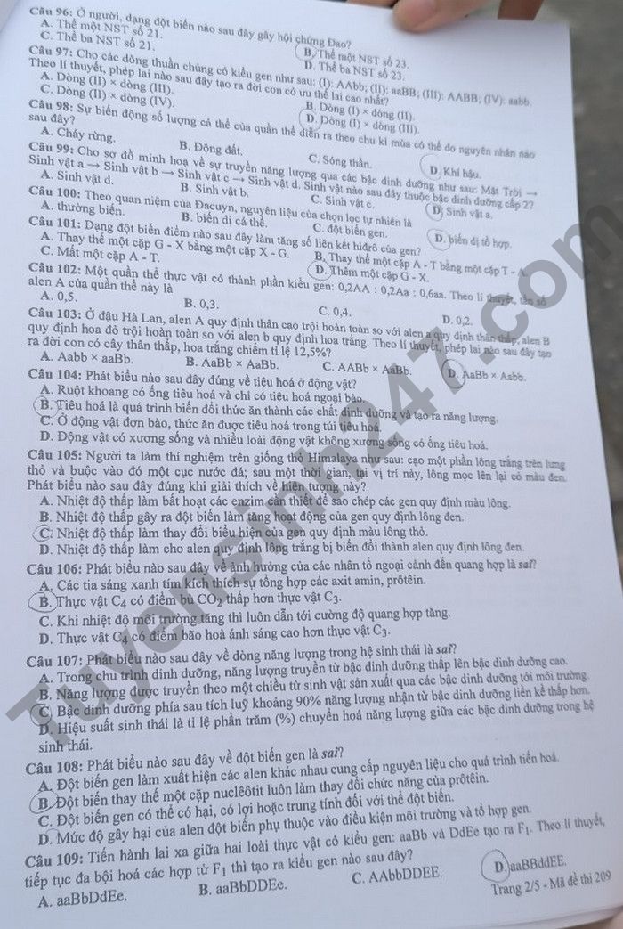 Dap an de thi mon Sinh tot nghiep THPT 2022 ma de 209