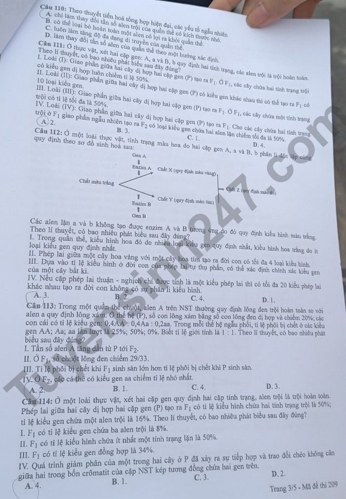 Dap an de thi mon Sinh tot nghiep THPT 2022 ma de 209