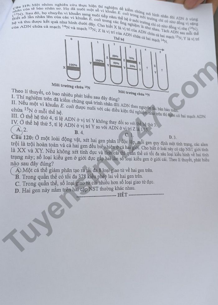 Dap an de thi mon Sinh tot nghiep THPT 2022 ma de 209