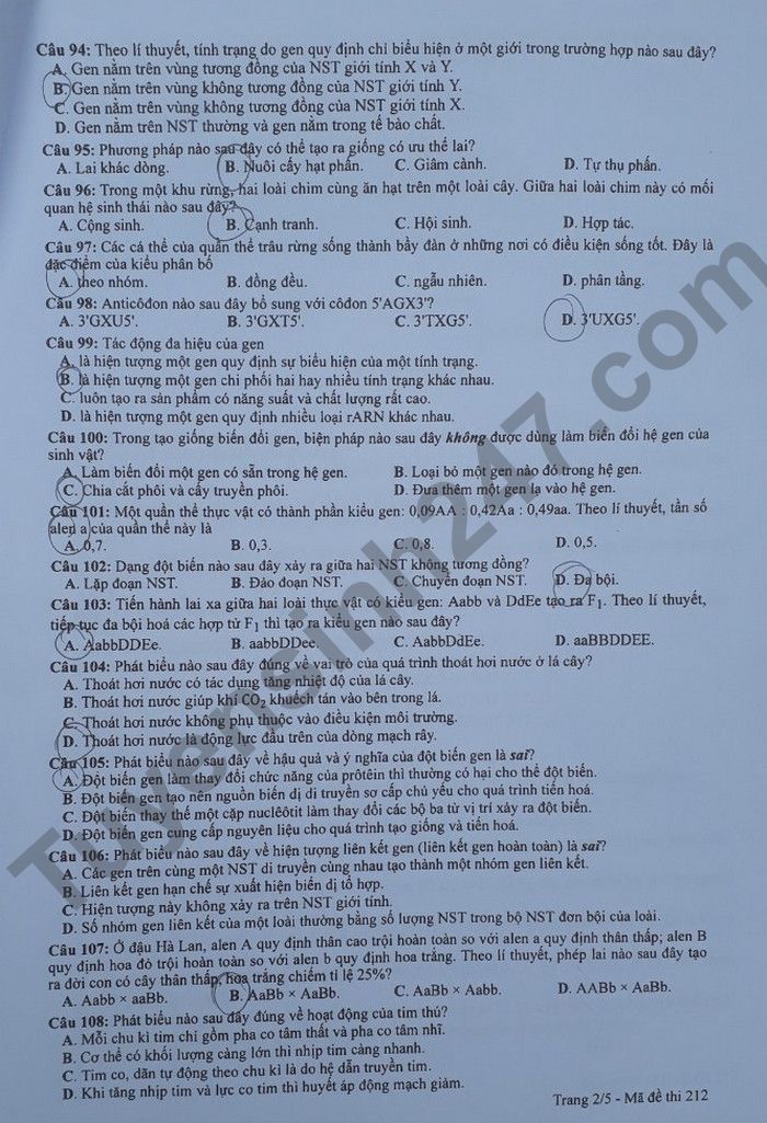 Dap an de thi mon Sinh tot nghiep THPT 2022 ma de 212