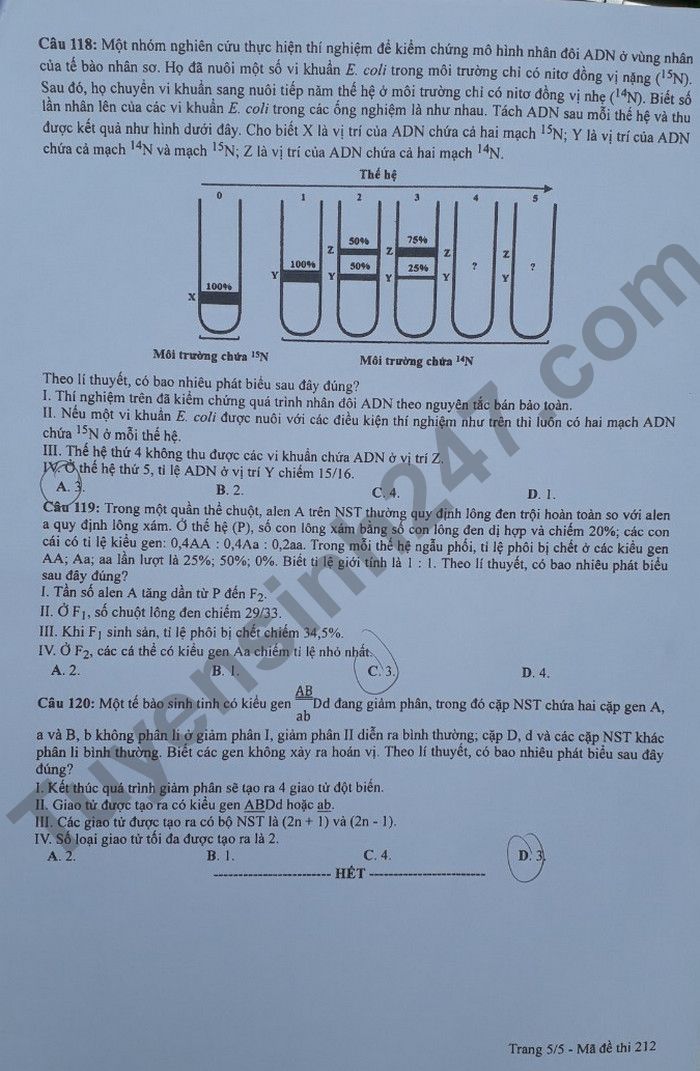 Dap an de thi mon Sinh tot nghiep THPT 2022 ma de 212