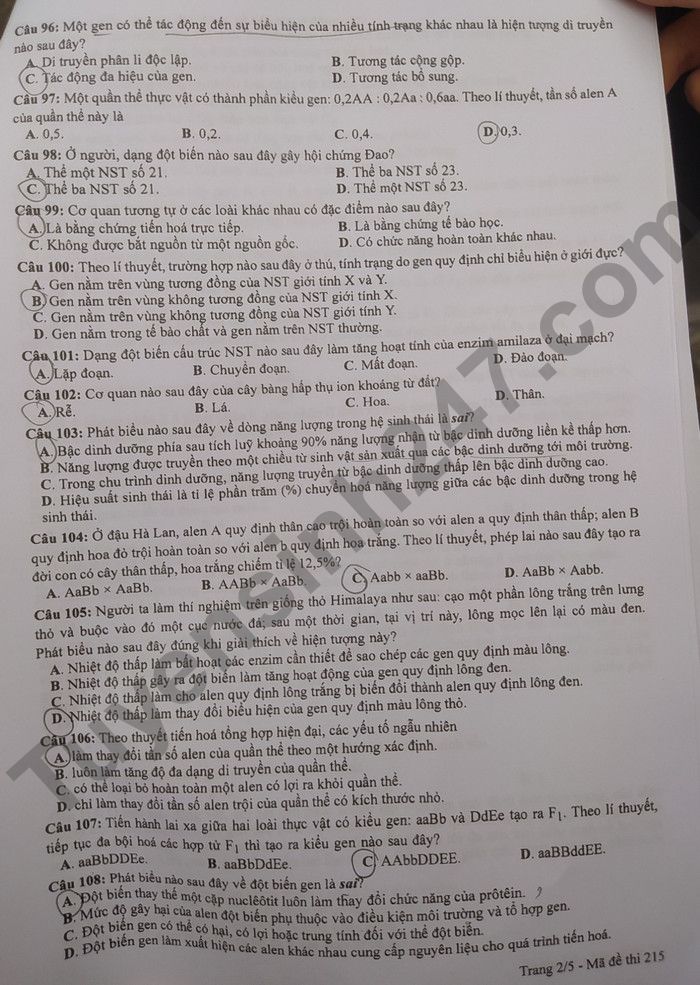 Dap an de thi tot nghiep THPT 2022 - Ma de 215 mon Sinh