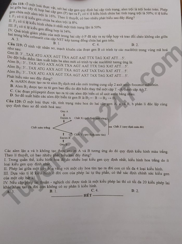 Dap an de thi tot nghiep THPT 2022 - Ma de 215 mon Sinh