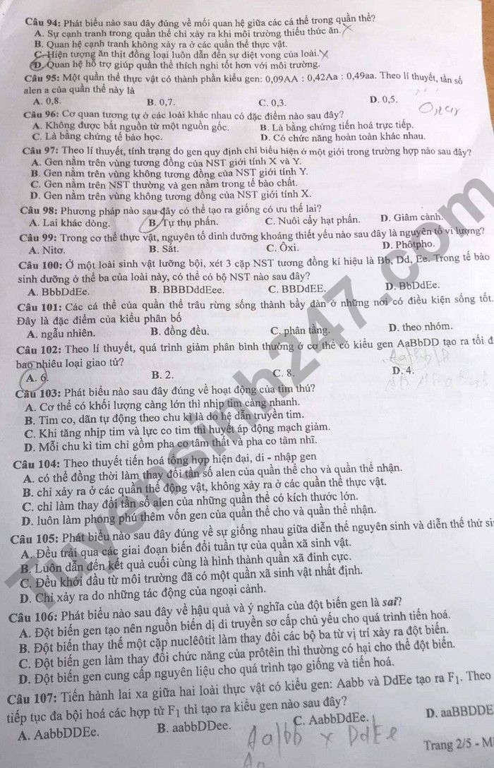 Dap an de thi mon Sinh ma de 218 tot nghiep THPT 2022