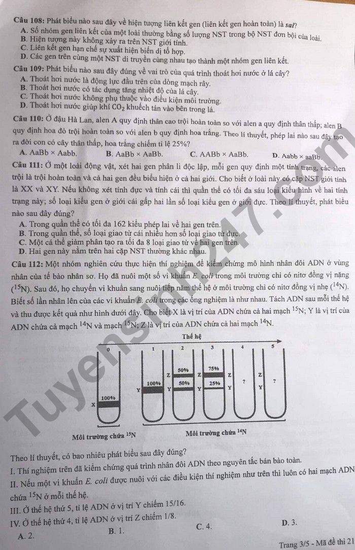 Dap an de thi mon Sinh ma de 218 tot nghiep THPT 2022