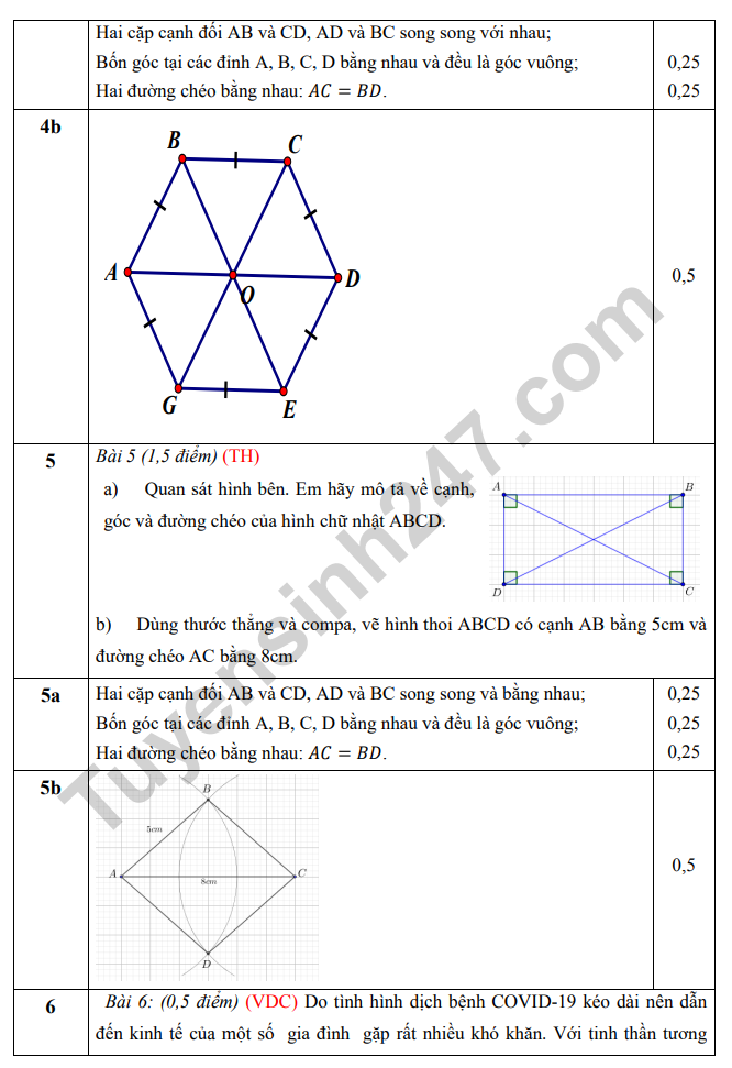 De giua ki 1 mon Toan lop 6 nam 2022 - THCS Vo Truong Toan (Tham khao)