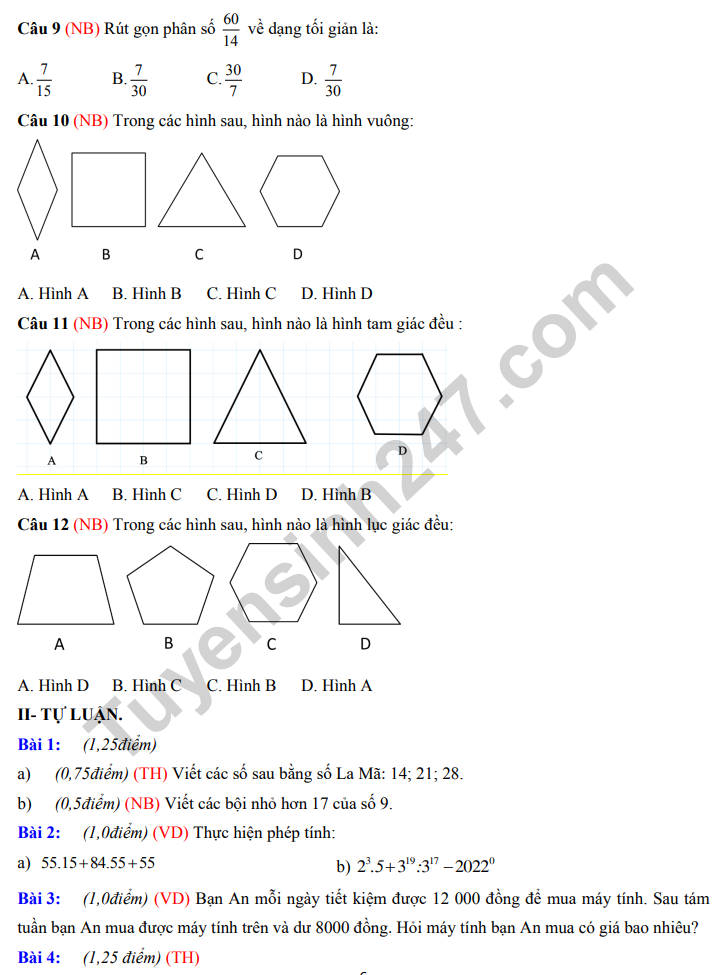 De giua ki 1 mon Toan lop 6 nam 2022 - THCS Vo Truong Toan (Tham khao)