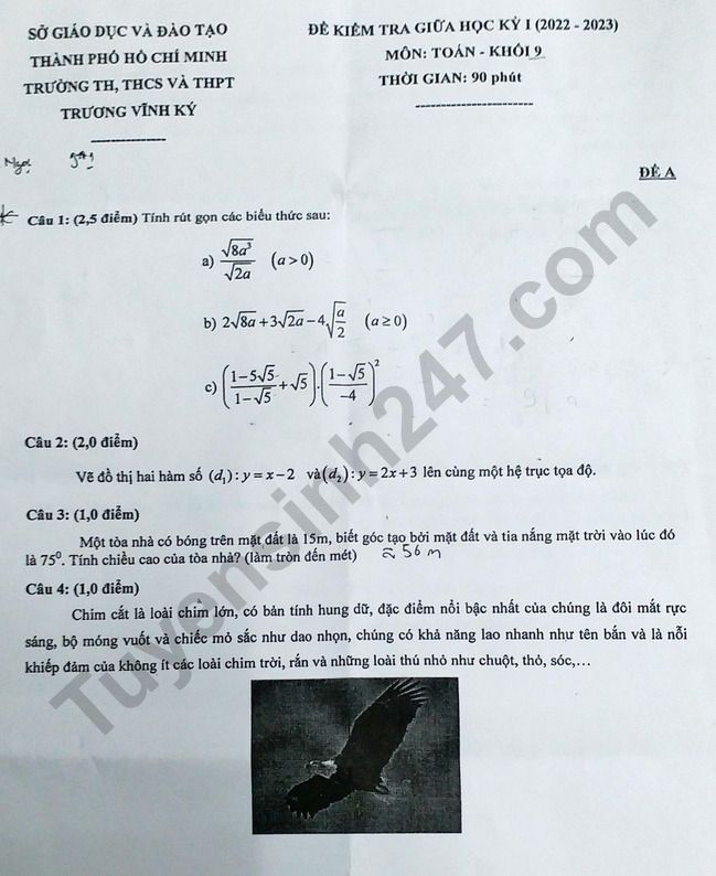 De kiem tra giua ki 1 mon Toan lop 9 - THCS Truong Vinh Ky 2022