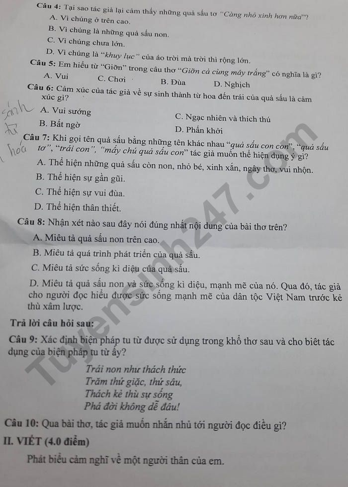 De thi ki 1 lop 7 mon Van - THCS Chu Van An 2022