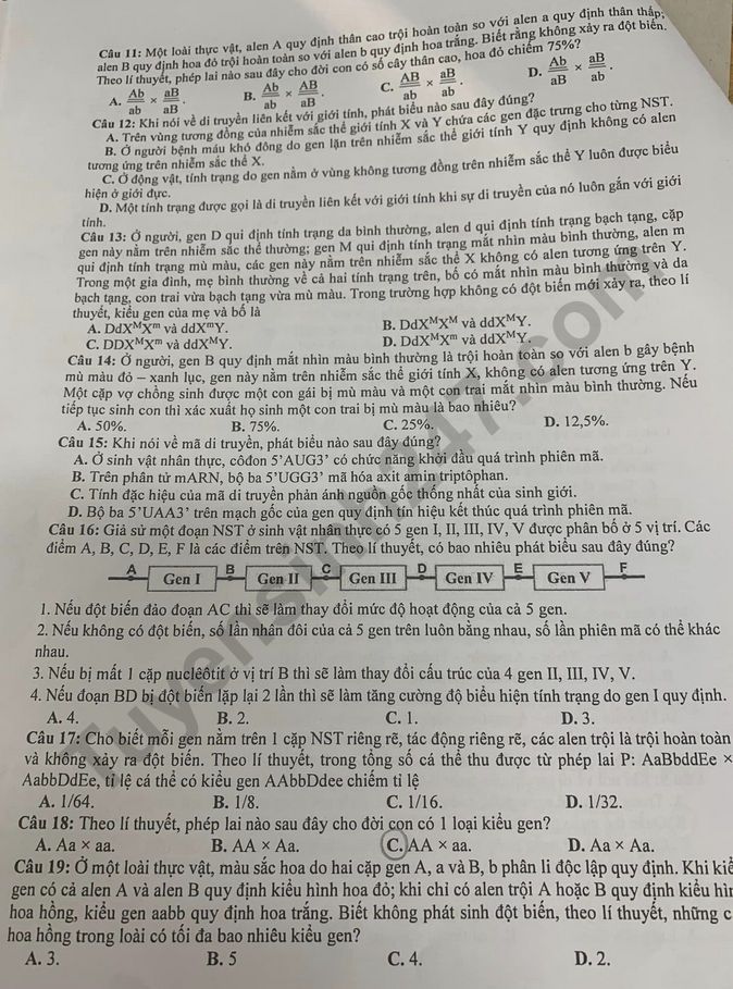 De thi ki 1 lop 12 mon Sinh 2022 - So GD Binh Duong