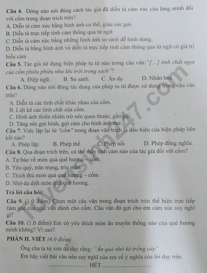De thi hoc ki 2 mon Van lop 7 nam 2023 (Sach Canh Dieu)