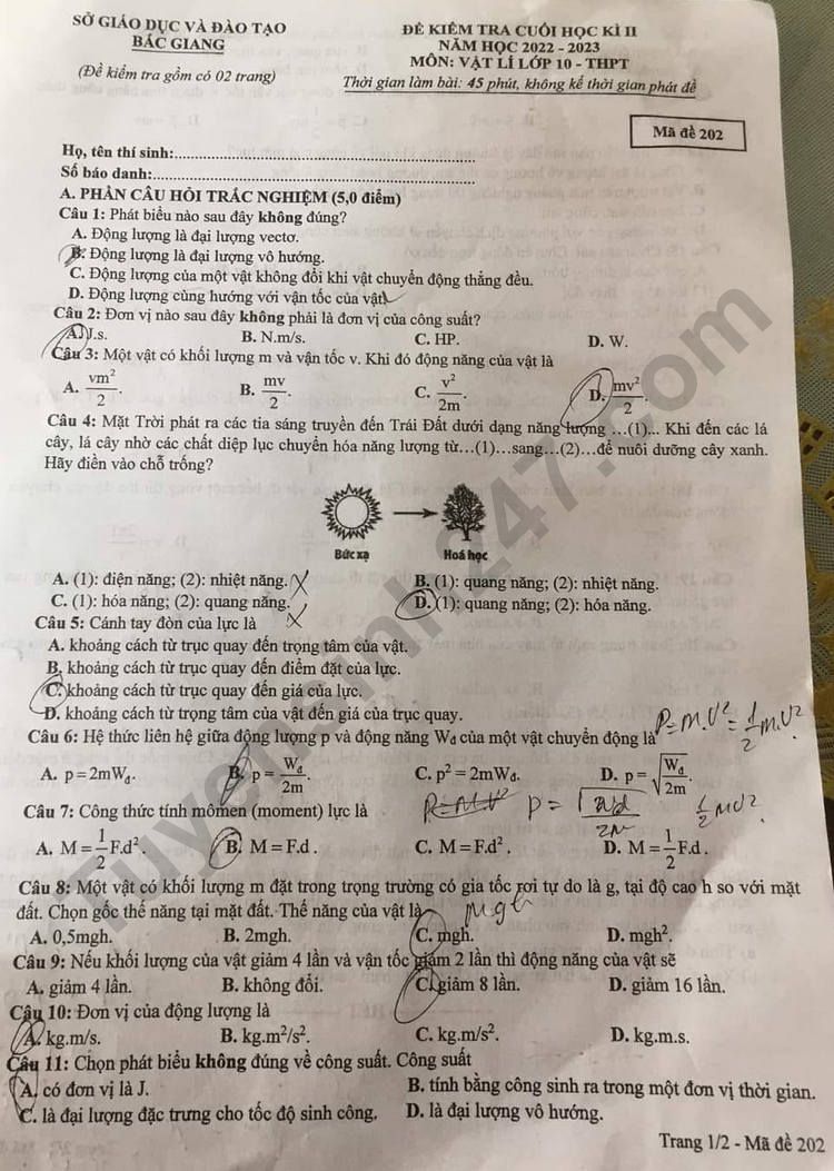De thi ki 2 lop 10 mon Ly 2023 - So GD Bac Giang