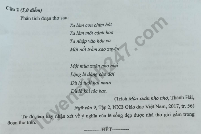 Dap an de thi vao lop 10 Can Tho mon Van nam 2023