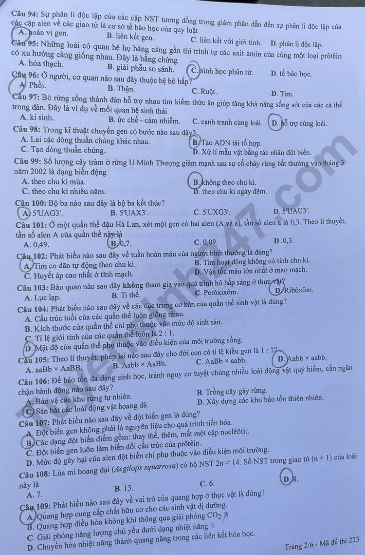 Dap an de thi tot nghiep THPT mon Sinh - Ma de 223 nam 2023