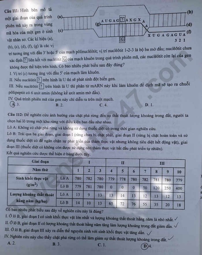 Dap an de thi tot nghiep THPT mon Sinh - Ma de 204 nam 2023