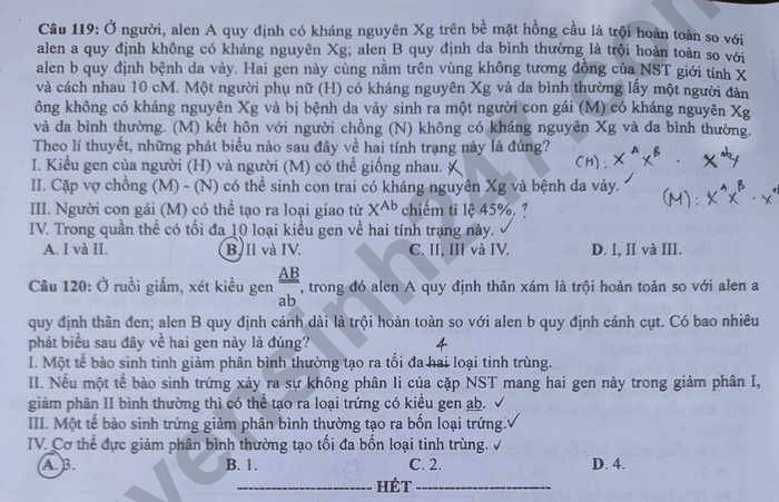 Dap an de thi tot nghiep THPT mon Sinh - Ma de 204 nam 2023