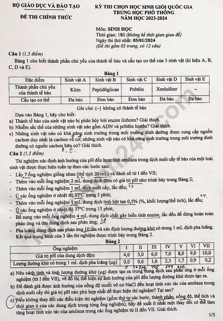 De thi HSG Quoc gia 2024 mon Sinh (Co dap an)