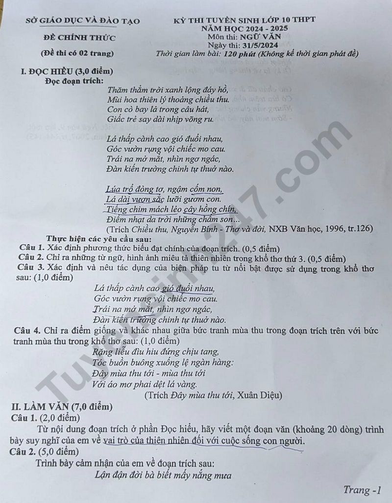 Dap an de thi vao lop 10 - Binh Duong mon Van 2024