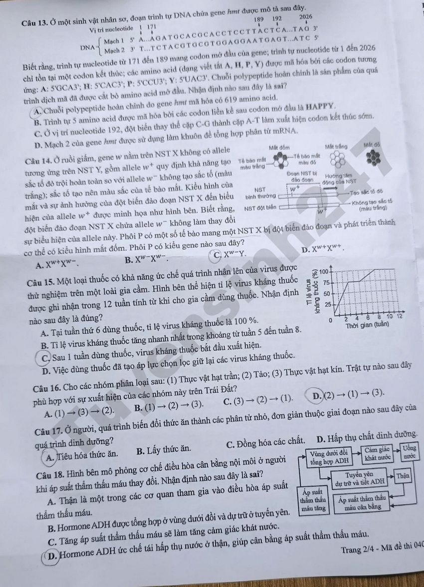 Day du dap an de thi mon Sinh tot nghiep THPT 2026 - Ma de 0402