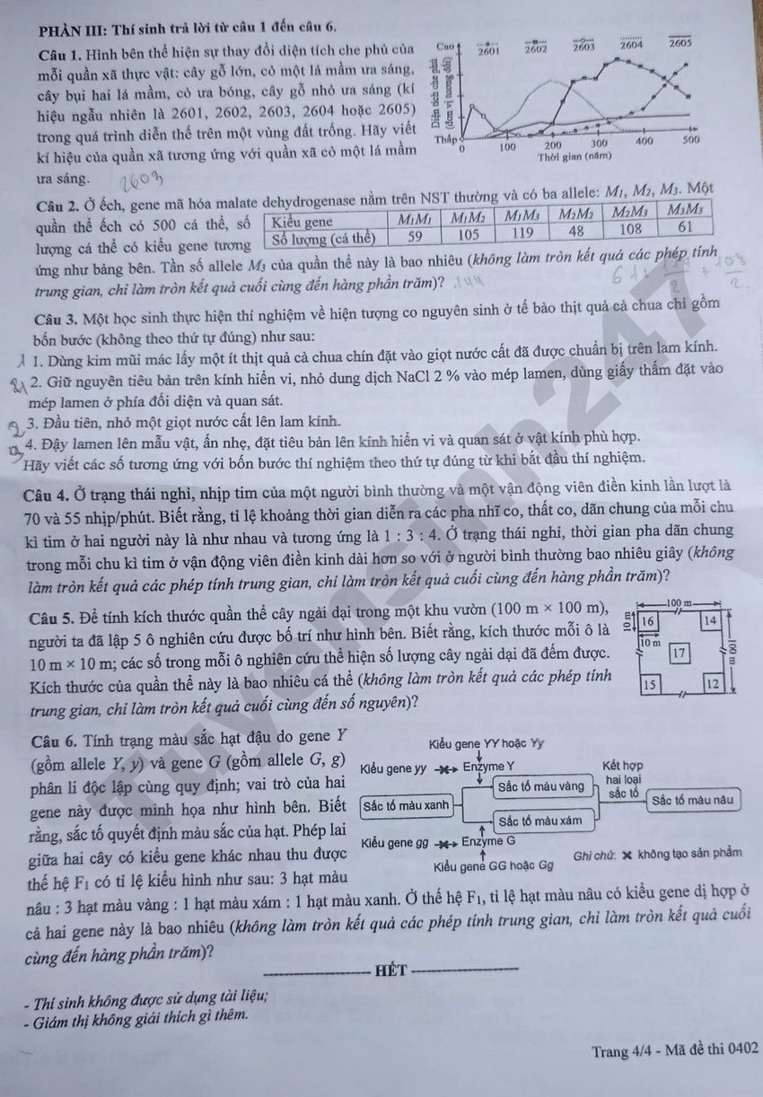 Day du dap an de thi mon Sinh tot nghiep THPT 2026 - Ma de 0402