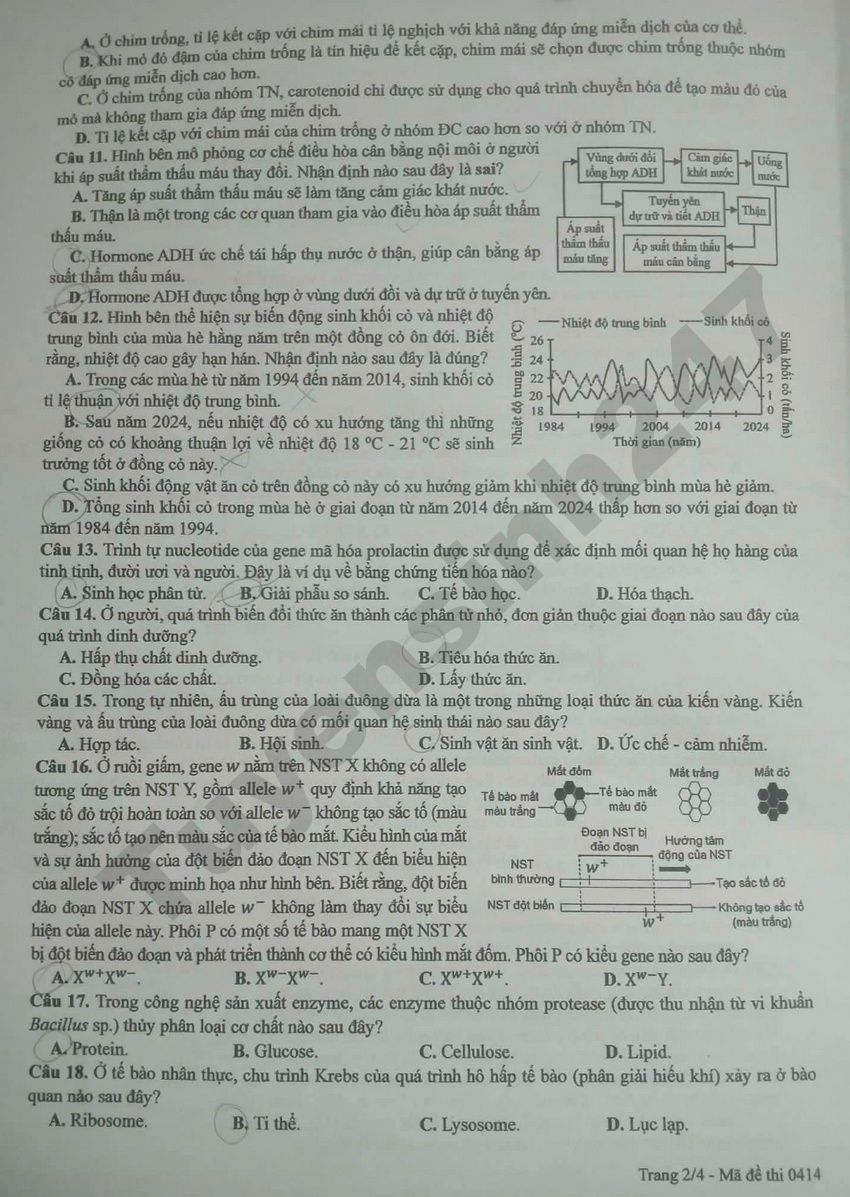 Dap an mon Sinh thi tot nghiep THPT 2026 - Ma de 0414