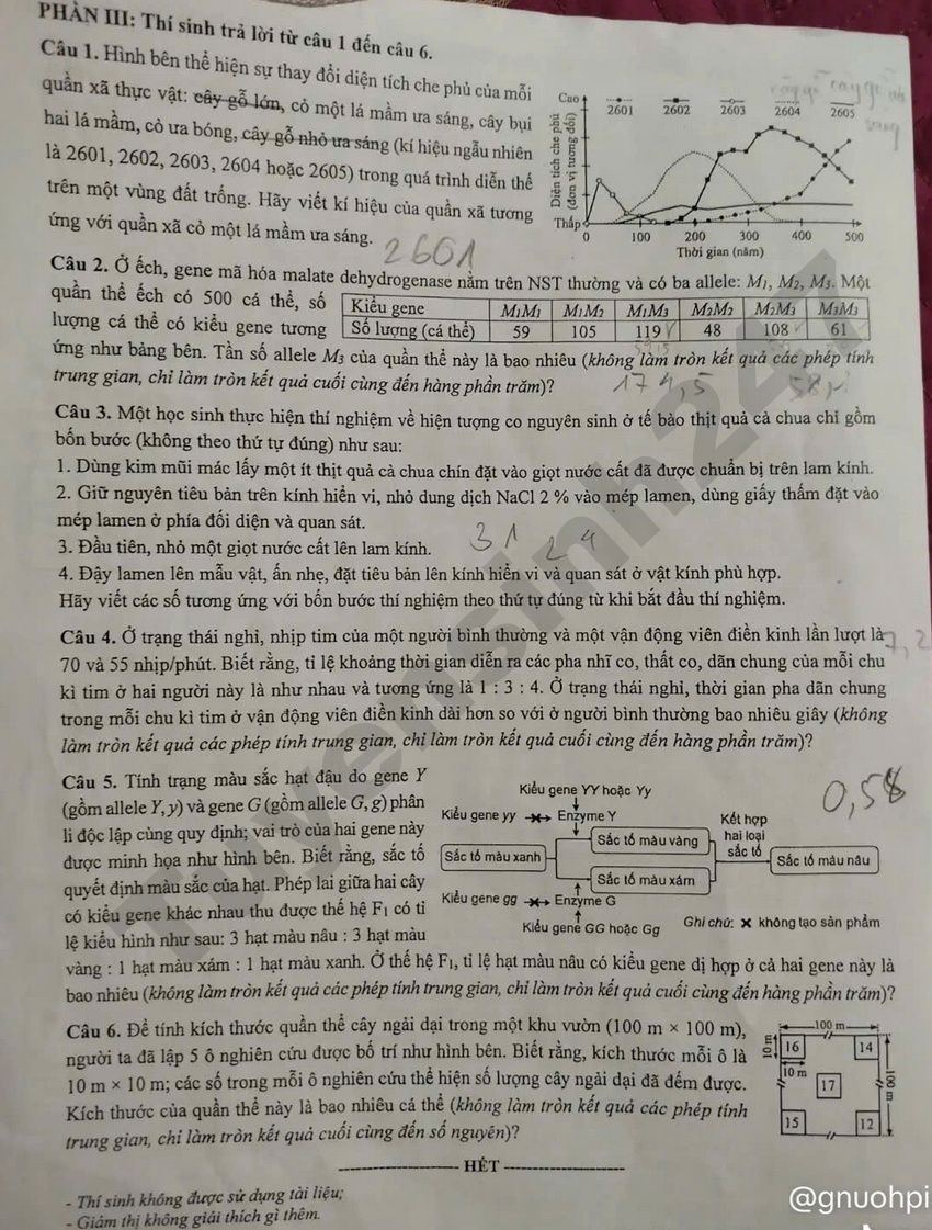Xem dap an de thi tot nghiep THPT 2026 mon Sinh ma de 0416