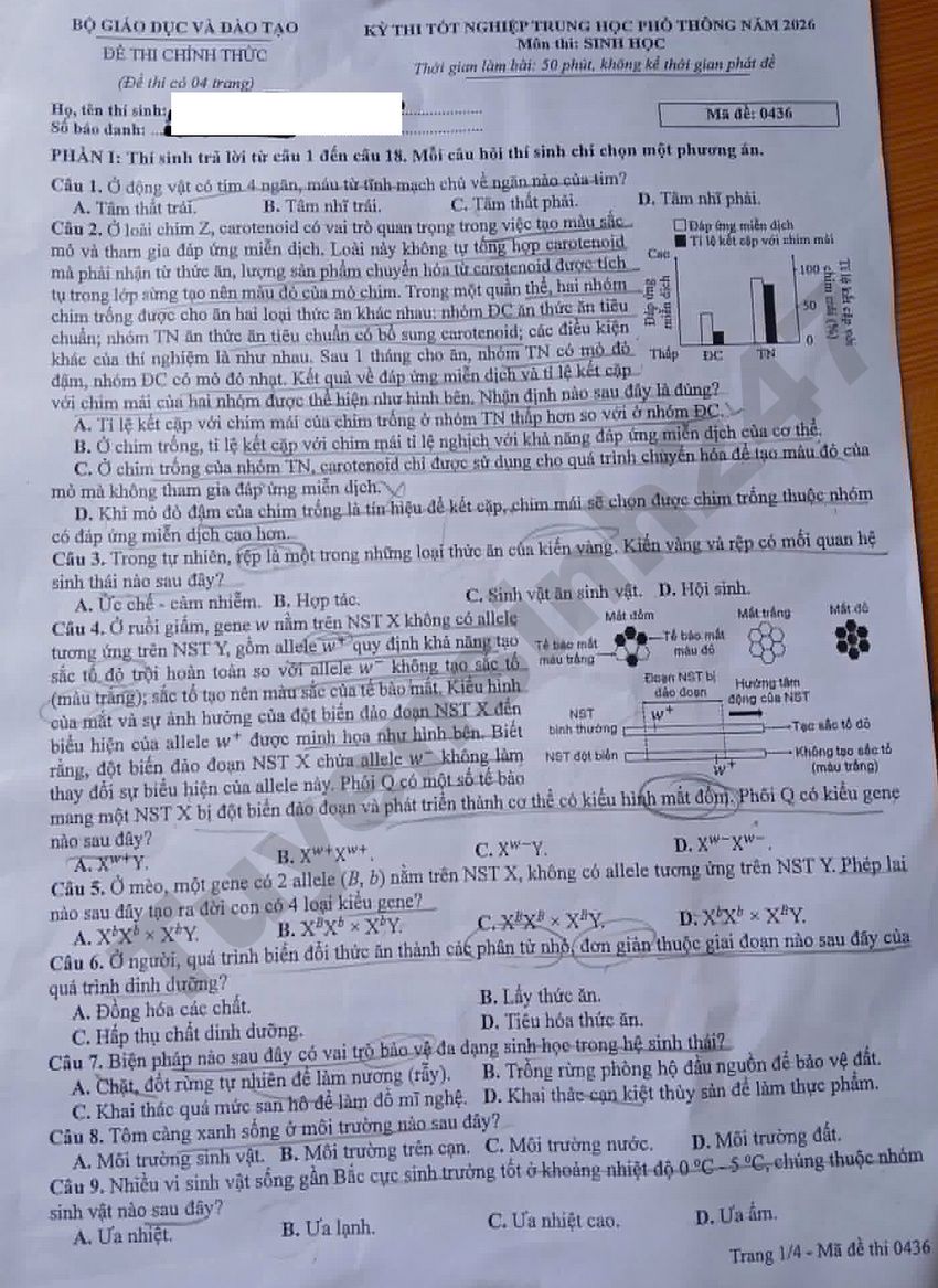 Xem dap an de thi tot nghiep THPT 2026 mon Sinh - Ma de 0436