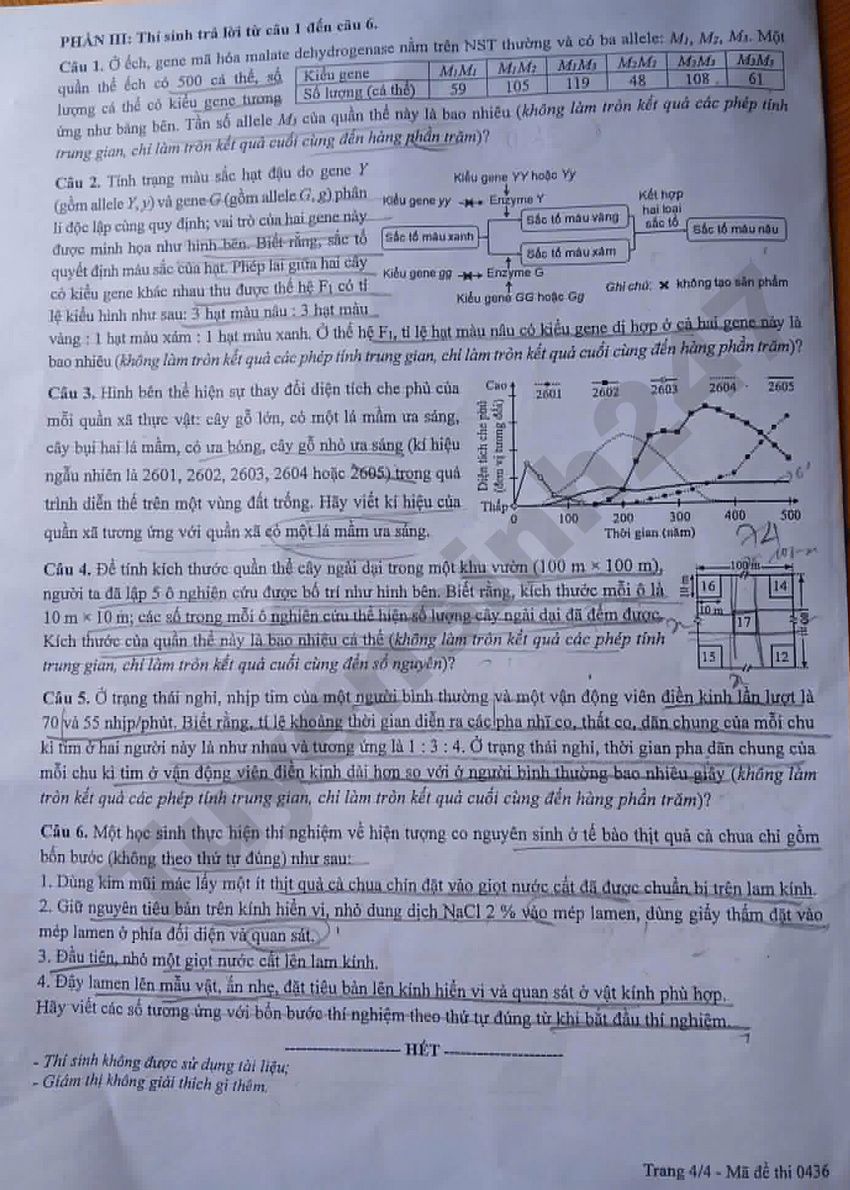 Xem dap an de thi tot nghiep THPT 2026 mon Sinh - Ma de 0436