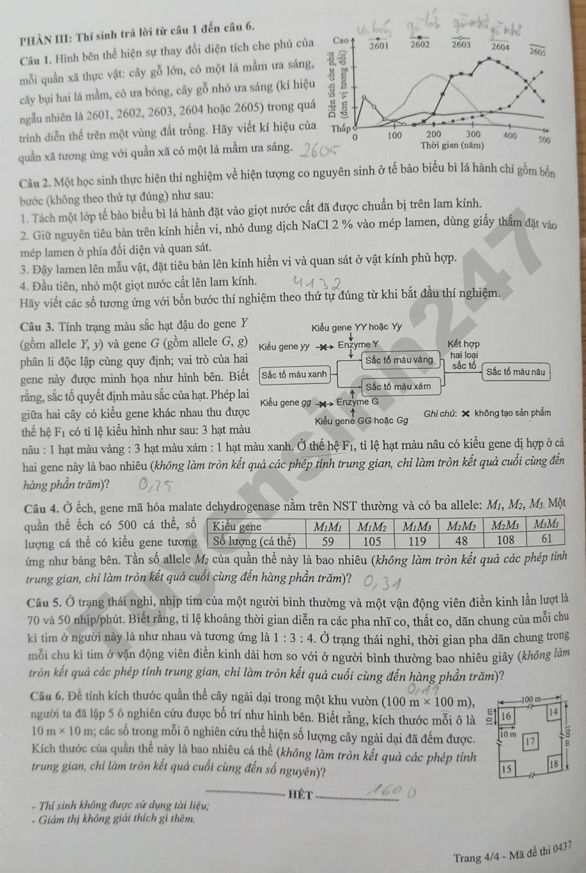 Dap an de thi mon Sinh - Ma de 0437 tot nghiep THPT 2026 