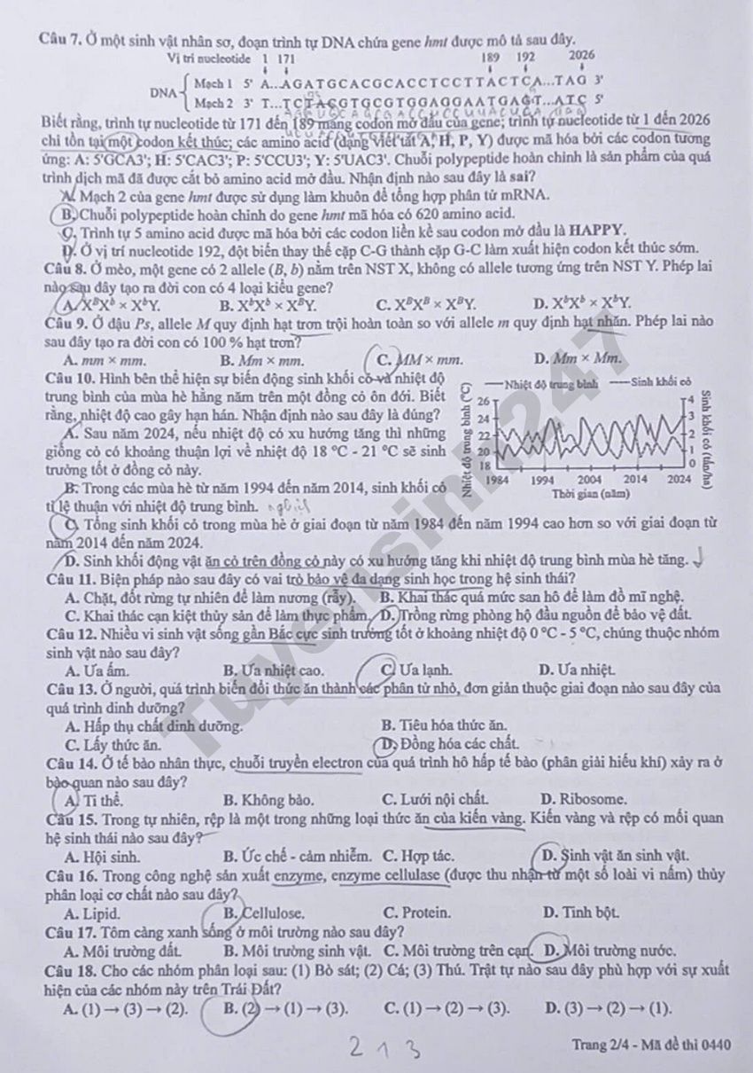 Dap an de thi tot nghiep THPT 2026 mon Sinh - Ma de 0440 nhanh va chinh xac
