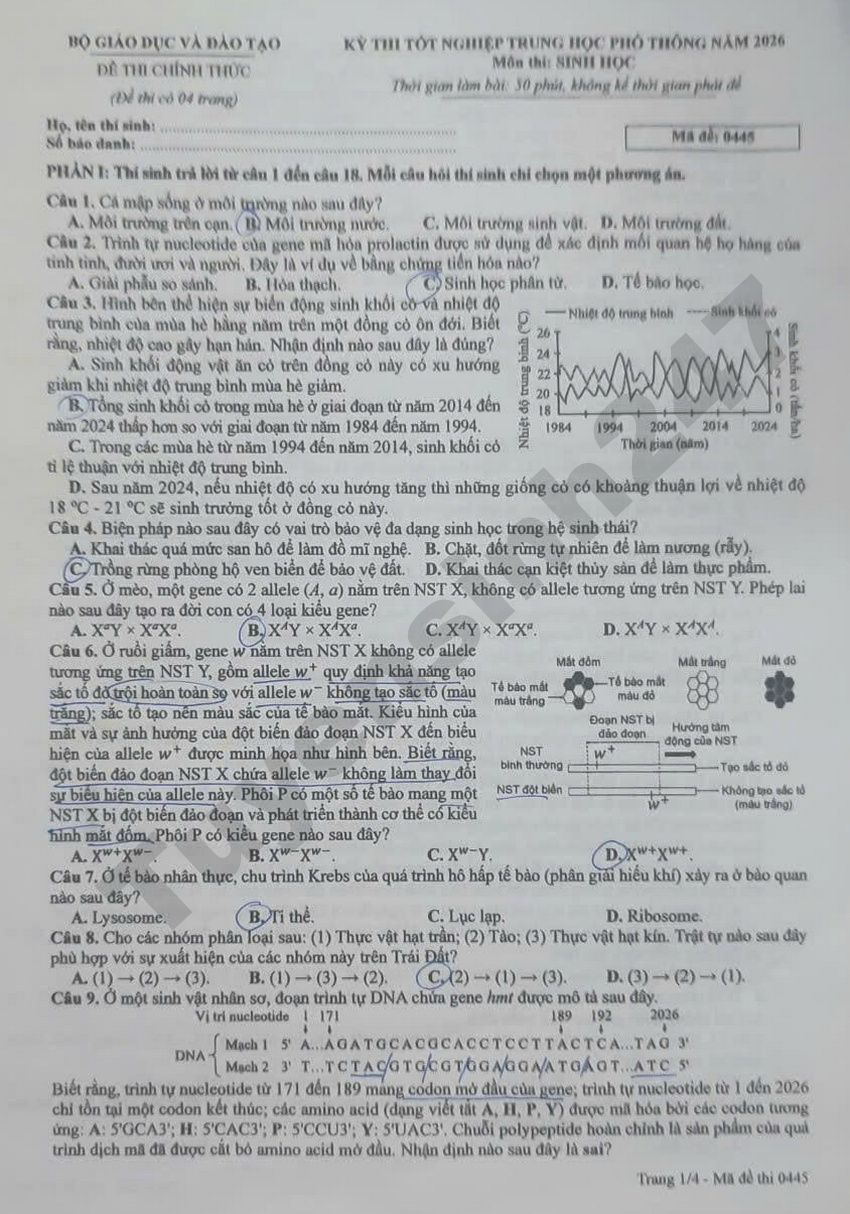 De thi va dap an mon Sinh tot nghiep THPT 2026 - Ma de 0445